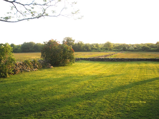 [fields%255B5%255D.jpg]