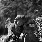 IMGP5742_bw.jpg IMGP5742_bw.jpg