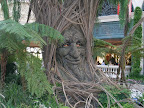 The cool creepy tree face thing at the Bellagio Conservatory and Botanical Garden.