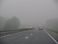 IMG_1979 IMG_1979