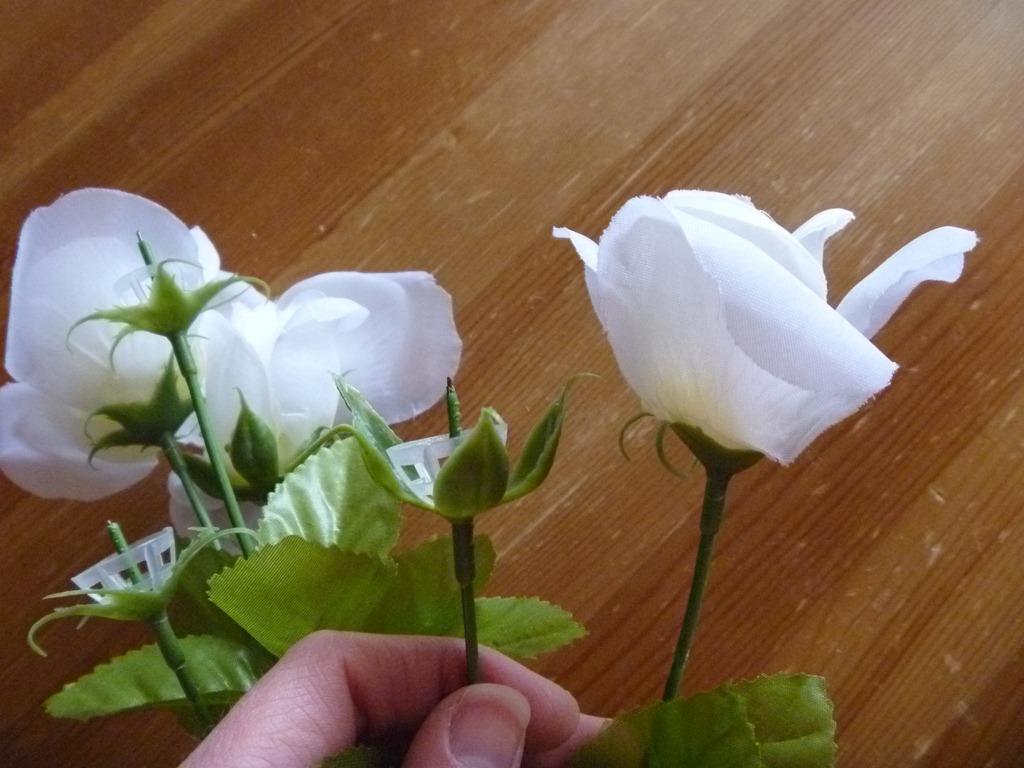 [P1030082%255B3%255D.jpg]