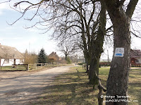 dsc07296.jpg