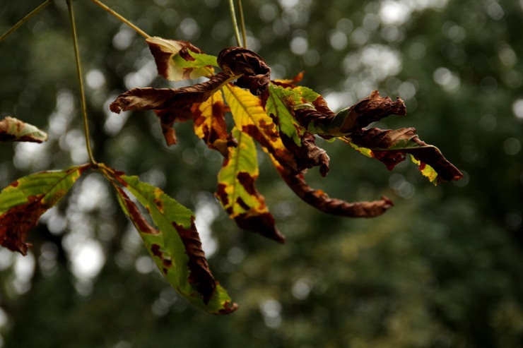 IMG_9040 IMG_9040