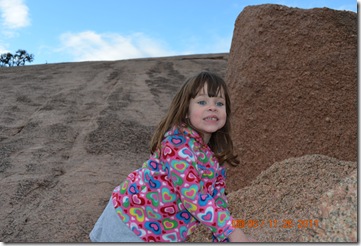 DSC_0316 DSC_0316