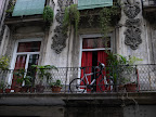 P1090353.JPG