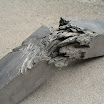 DSC00315-1.jpg