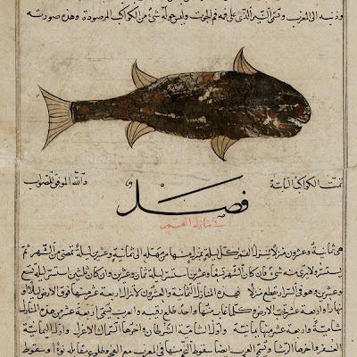 Folio from a Aja'ib al-makhluqat (Wonders of Creation) by al-Qazvini | Origin: Possibly Baghdad, Iraq or Eastern Turkey | Period: early 15th century | Details: Not Available | Type: Opaque watercolor, ink, gold and silver on paper | Size: H: 32.7 W: 22.4 cm | Museum Code: F1954.49 | Photograph and description taken from Freer and the Sackler (Smithsonian) Museums. e7a17044270f420b9b1d65c9275c8744.jpg