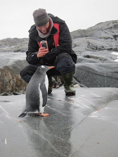 Erik videotaping a curious Gentoo Penguin.