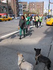 Hey girls, looking good!  Sharkey and I just love your green outfits!  Did you know people have been wearing green for St. Patrick's Day since the 17th century?