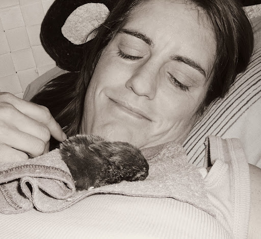 Wonderful Ms. Gina fostering a baby bunny for a local rescue group until she was adopted into a loving forever home Wonderful Ms. Gina fostering a baby bunny for a local rescue group until she was adopted into a loving forever home
