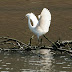 20130417-dsc_9928