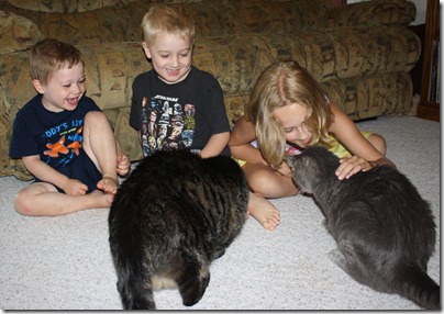 best family pet best family pet
