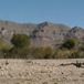 View album