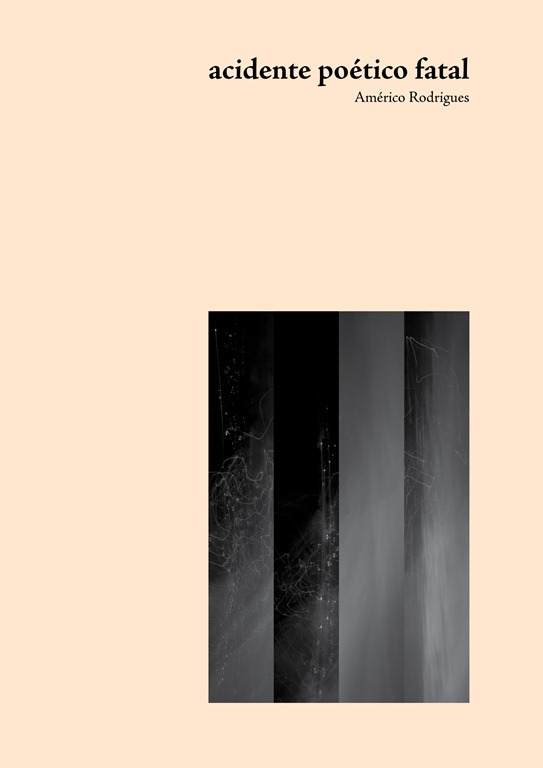 [capa_livro_americo_apf%255B8%255D.jpg]