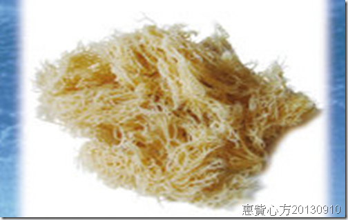 珊瑚 珊瑚