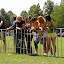 SSHL Podvysoká 2008