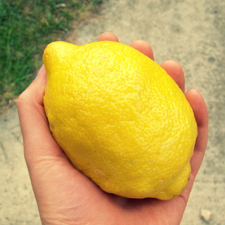 [lemon%255B5%255D.jpg]