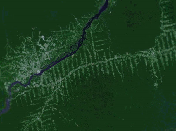 Satellite view of roads in the Brazilian Amazon. Photo: Digital Earth / mongabay.com