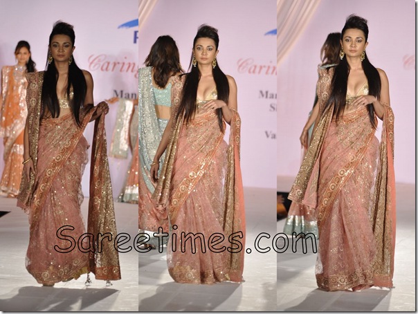 Ira_Dubey_Embroidery_Saree