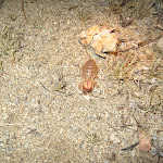 IMG_2653.JPG