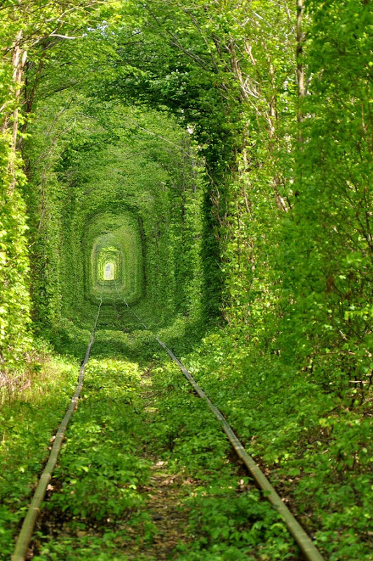 نفق جميل من الاشجار تعبر منه القطارات باوكرانيا Tunnel-of-love-1%255B3%255D