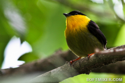 [clip_image002%255B10%255D.png]