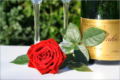 red_rose_beside_champagne_bottle