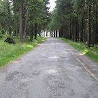 034_07-08-07_12a.jpg