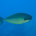 P7285771