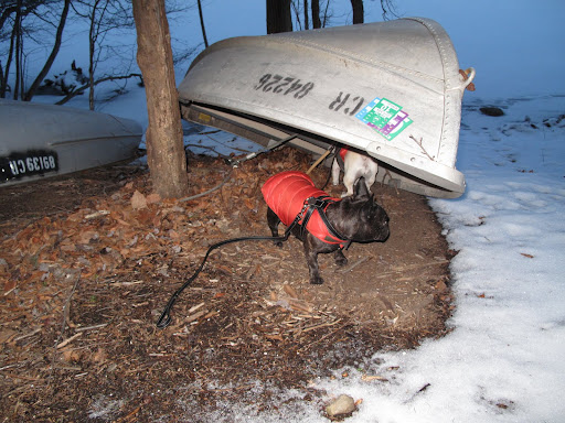 Franny, I think I can push this rowboat out onto the lake - can you help give a shove?