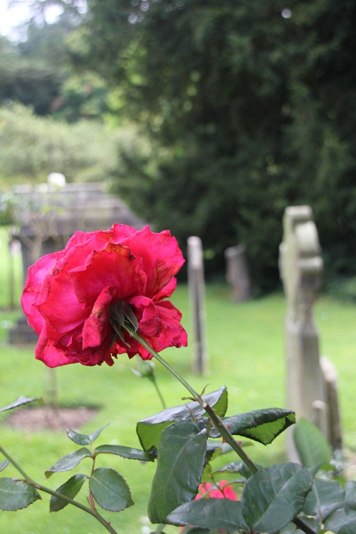 [Bibury-466.jpg]