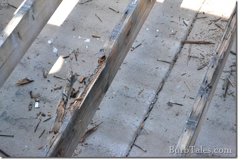 Rotten deck joists. About as supportive as a training bra. Rotten deck joists. About as supportive as a training bra.