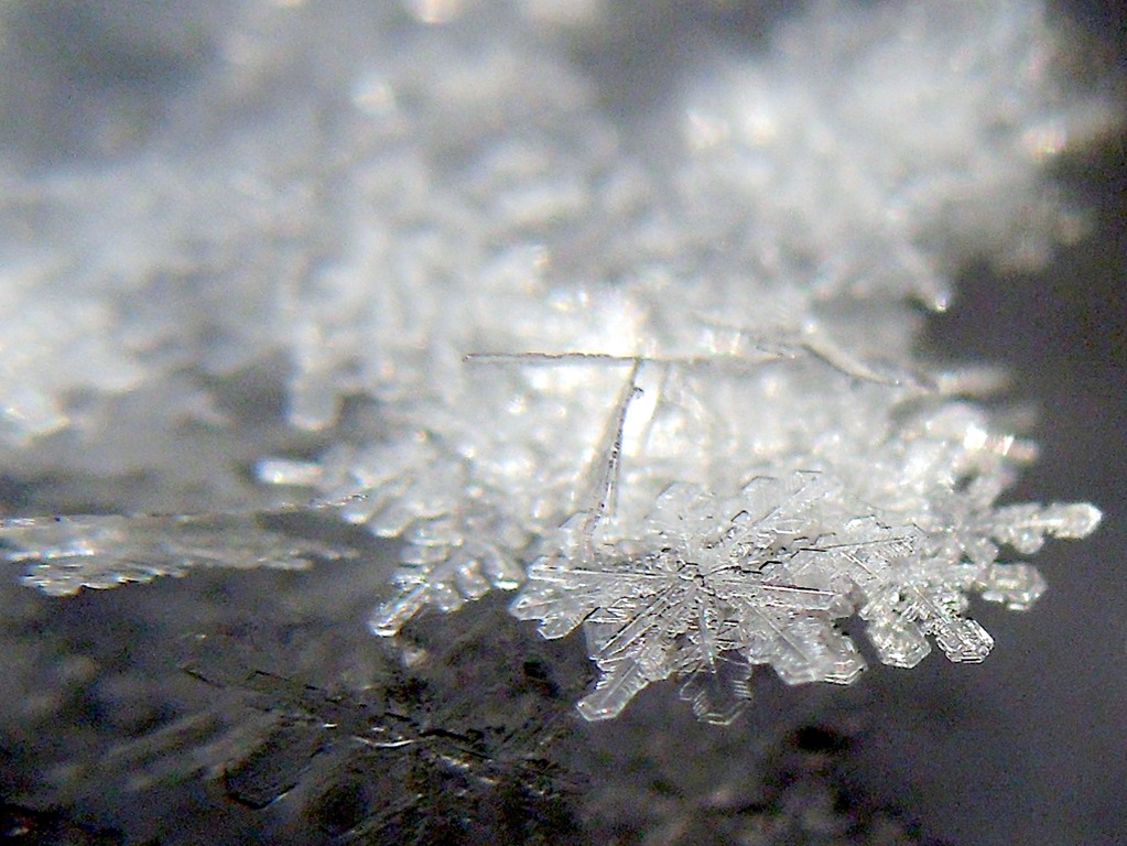 [DSCN5275%255B3%255D.jpg]