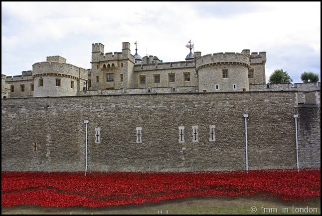 The White Tower and the poppies