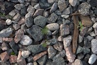 DSC_4528.jpg DSC_4528.jpg