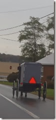 PA220006 PA220006