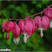 DSC02804.jpg