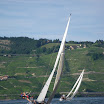 IMGP1429.jpg