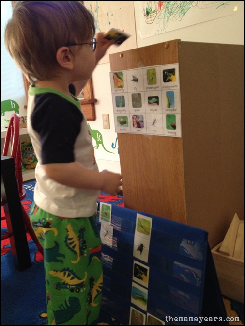 5.13.13 tot school bugs3
