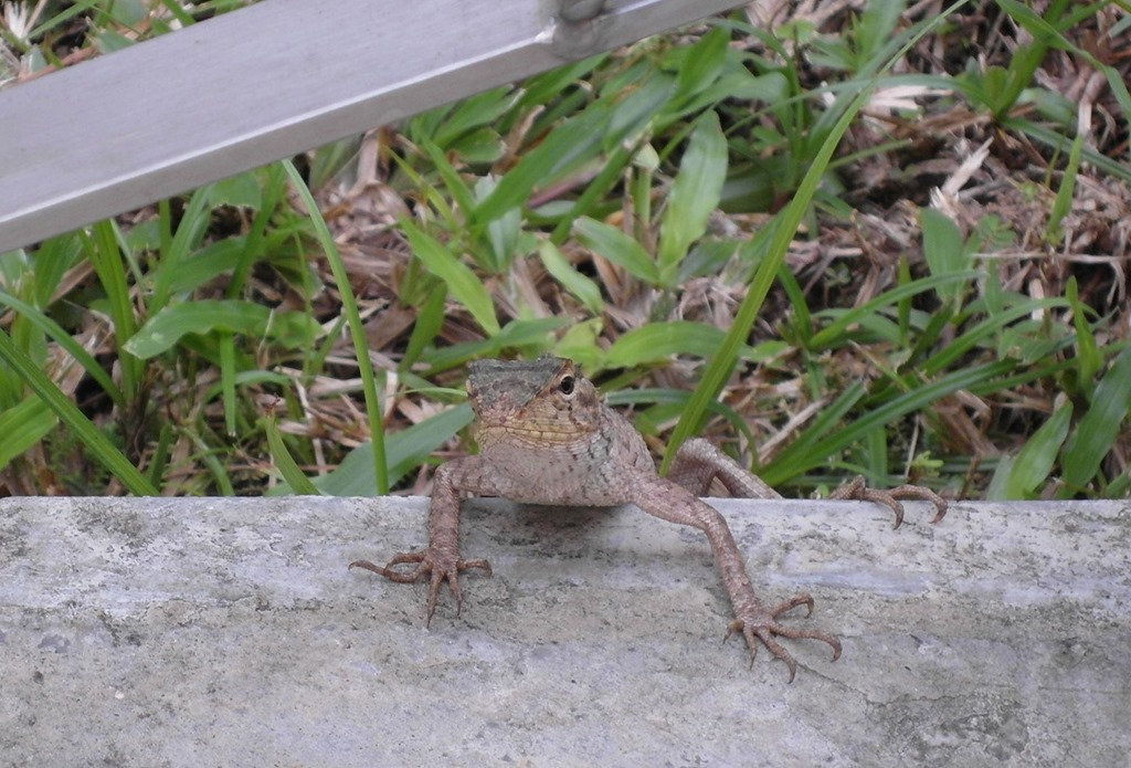 [SAM_0829_p%255B3%255D.jpg]