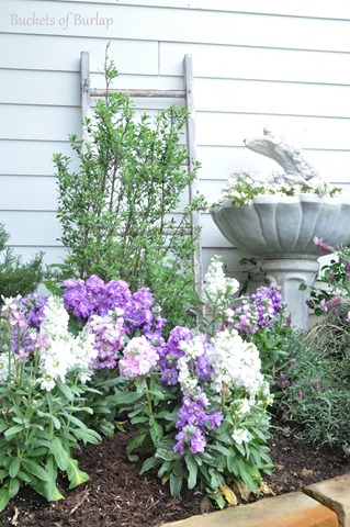[spring%2520garden%25202013%255B6%255D.jpg]