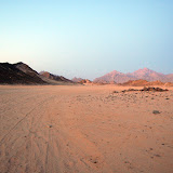 DSC_5982.JPG