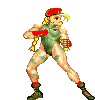 cammy-ssf2-win1 cammy-ssf2-win1