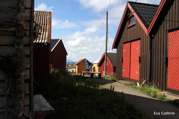 IMG 9854