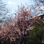 20100401_020.JPG