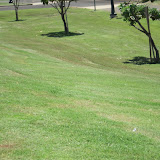 IMG_2639.JPG