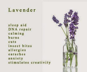 [lavender-front%255B4%255D.jpg]