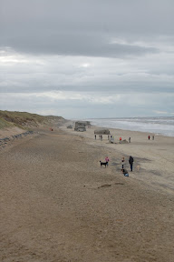 DSC_0139.jpg