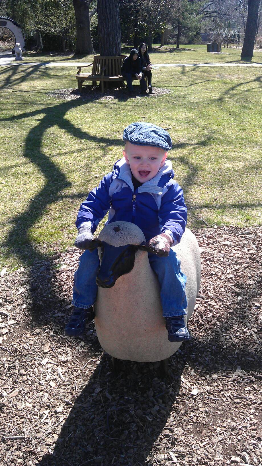 "here I come sheep"