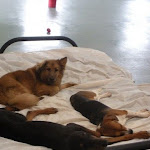 DSCN2297.jpg
